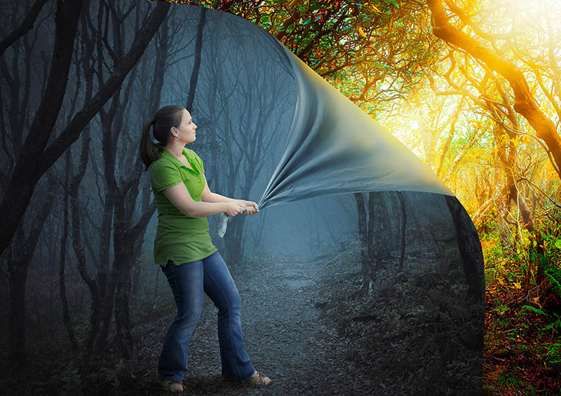 A woman pulls back a dark forest into a beautiful sunset.